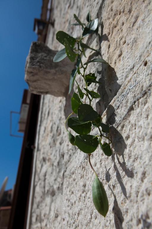 Villa Donna Trogir Zewnętrze zdjęcie